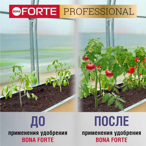 Компл. мин. удобр. "Bona Forte" Для комн.растений,рассады,саженцев гранулир.пролонгир., ведро1л