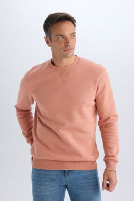 Regular Fit Bisiklet Yaka Basic Duz Kal?n Sweatshirt