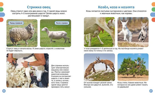 Полезные машины и животные фермы. Гийоре М.-Р. - Махаон фото 3