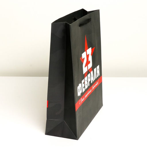 Пакет подарочный ламинированный, упаковка, «С 23 февраля», M 26×30×9 см