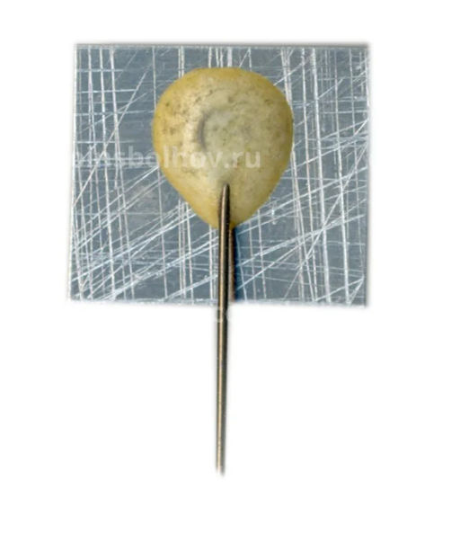 Значок Золотое руно