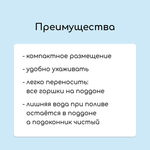 Набор для рассады: стаканы по 1 л (10 шт.), поддон 61×23 см, чёрный