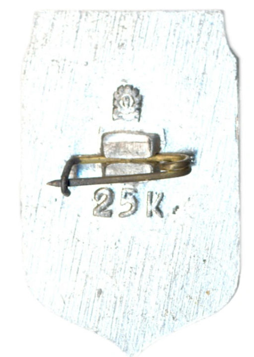 Значок Запорожье