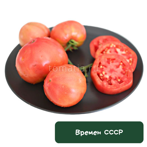 Времен СССР - Tomatia фото 2