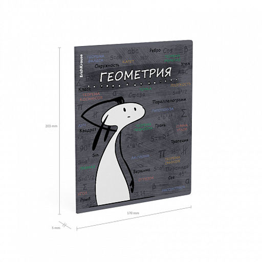 Цена за 5 шт. Тетрадь общая ученическая с пластиковой обложкой на скобе ErichKrause Чубрик, Геометрия, 48 листов, клетка  фото 4