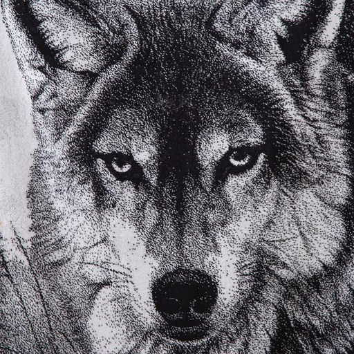 Полотенце махровое Этель ЧБ «Волк», пестроткань, 70×130 см