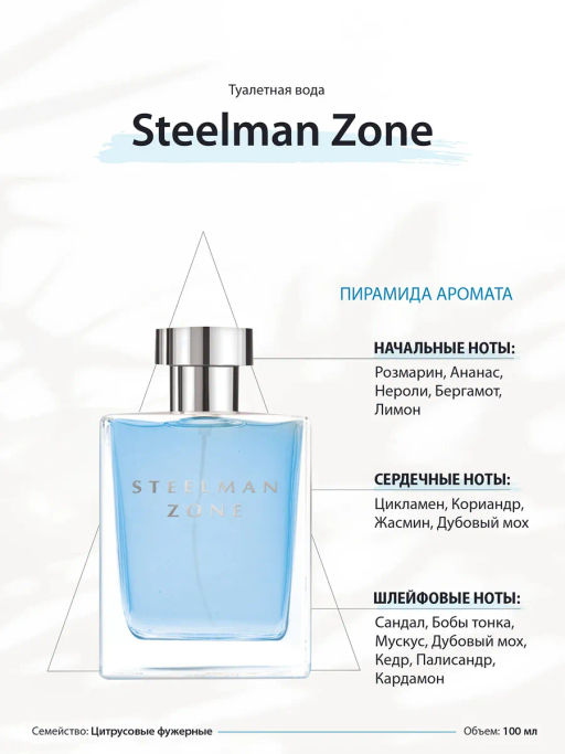 Dilis STEELMAN ZONE Туалетная вода для мужчин 100 мл  фото 3