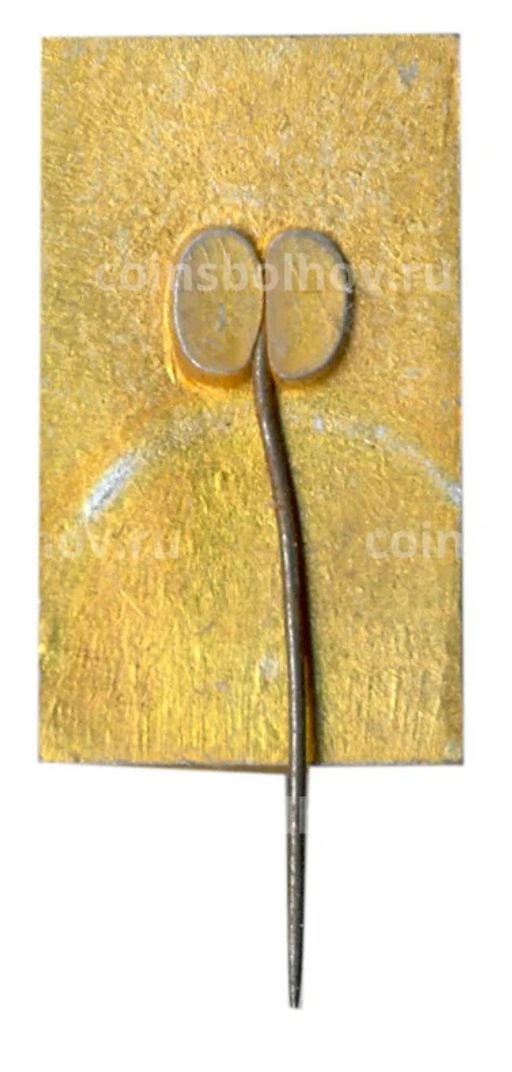 Значок Шаки