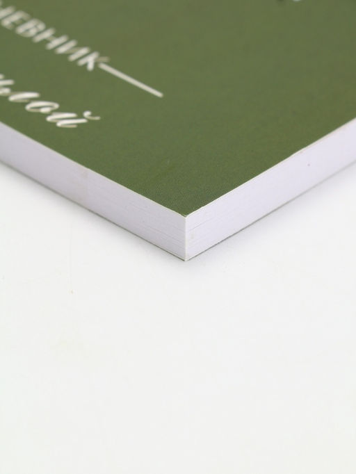 Подарочный набор, ежедневник А5, 80 л., эко ручка Мечты сбываются - Artfox фото 4