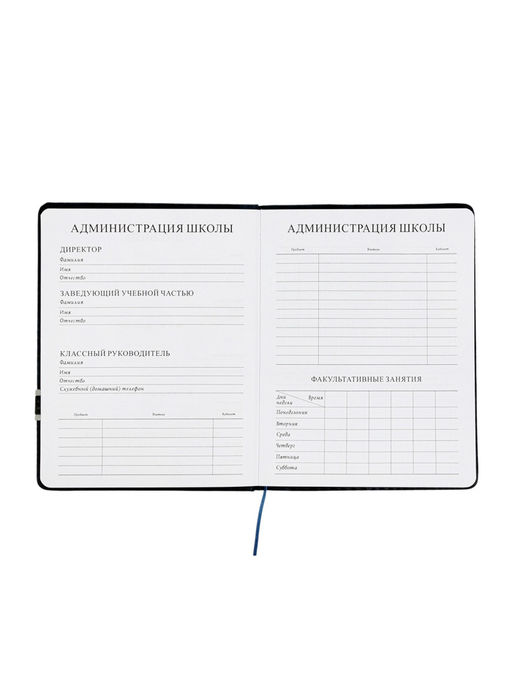 Дневник школьный 1-11 класс, лассе, обложка искуственная кожа серая, с хлястиком, с ручкой   1096906