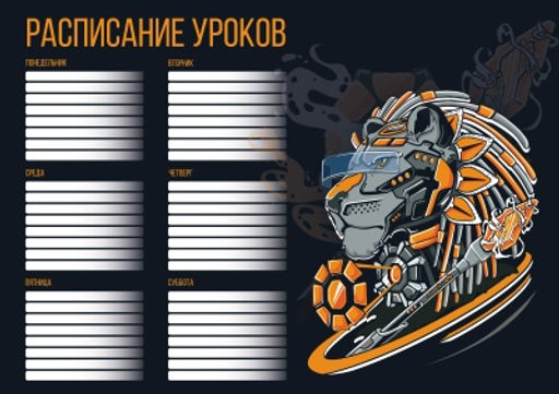 Цена за 5 шт.Расписание уроков арт. 60357/ 50 КИБЕР ЛЕВ ,