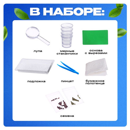 Набор для опытов «Экоферма», своими руками