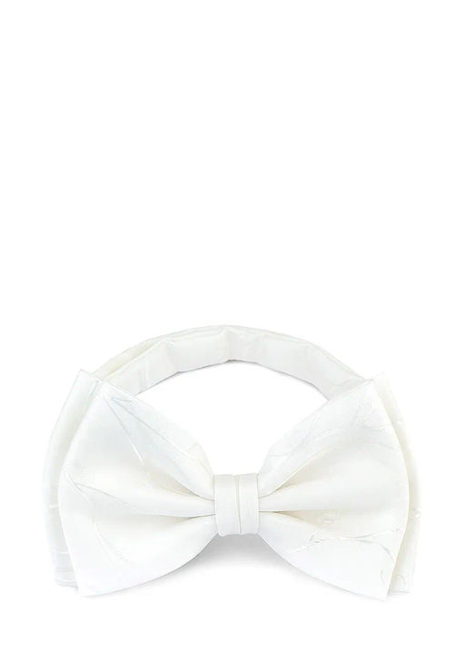 Галстук-бабочка мужской CASINO Casino-poly-wedding 512.1.478