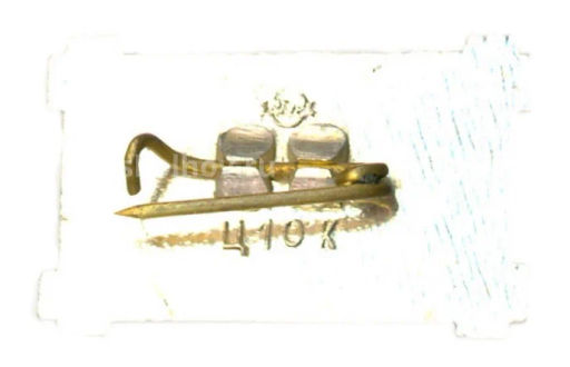 Значок SEPLU SAIЕSANA ( деревянная изба  Музей республика Литва)