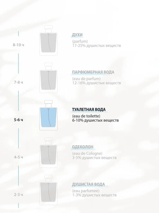 Dilis STEELMAN ZONE Туалетная вода для мужчин 100 мл  фото 4