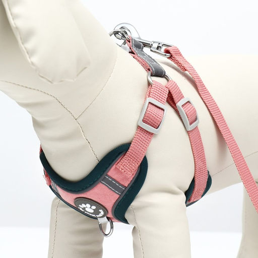 Комплект Sport+, XS, поводок 120 x 1,5 см, ОШ 37-39 см, ОГ 41-46 см, вес животного 4-6 кг, розовый - Пижон фото 4