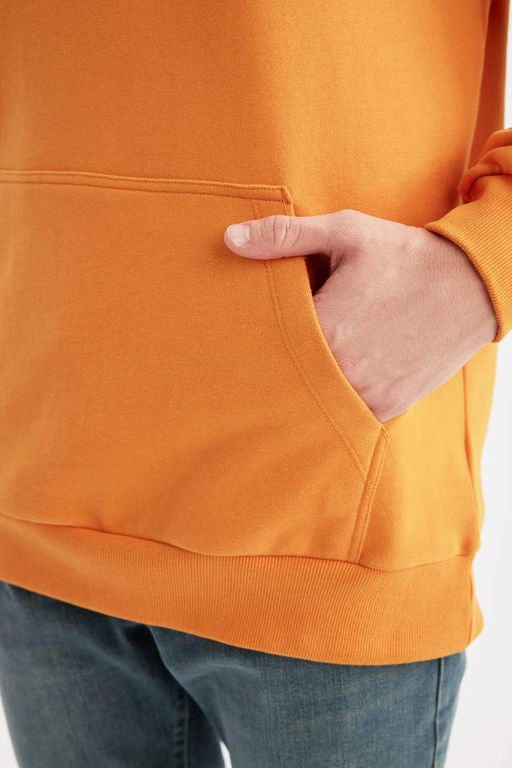 Базовая толстовка Comfort Fit с капюшоном - Defacto фото 9