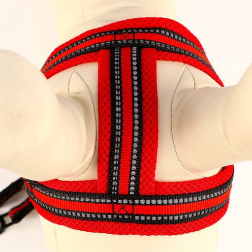 Комплект амуниции светоотражающий с мягкими шлейкой и ручкой, поводок 120 х 2 см, ОШ 25-72 см, красн - Пижон фото 5