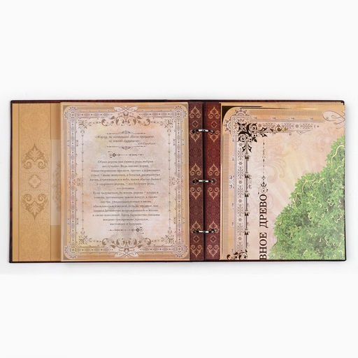 Родословная книга с рамкой под фото «Родословная книга», под дерево, 50 листов, 21.5×23.7 см