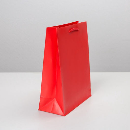 Цена за 2 шт. Пакет подарочный ламинированный, упаковка, «Красный», MS 18 х 23 х 8 см