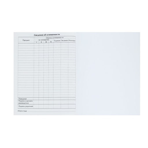 Цена за 2 шт. Дневник школьный для 1-11 классов, «Тачка Black Drift», твёрдая обложка 7БЦ, глянцевая ламинация, 40 листов