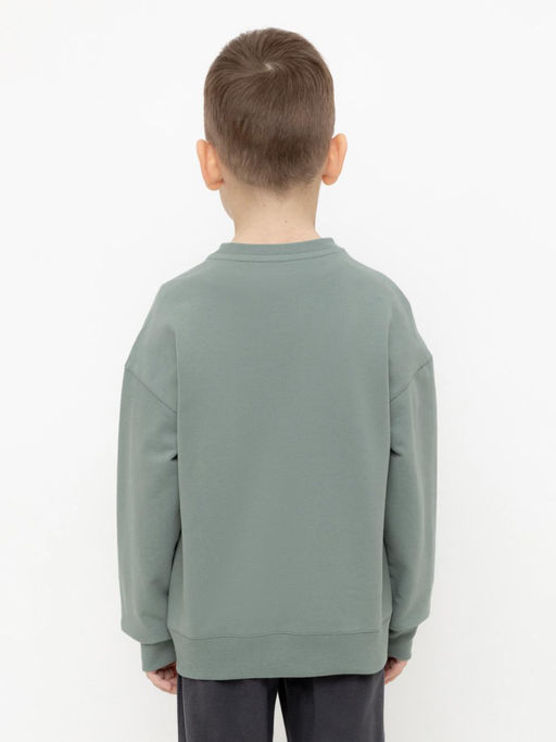 КР 302392/полынь джемпер (свитшот) для мал