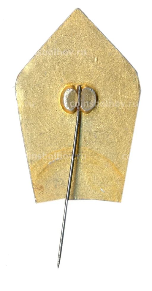 Значок 50 лет Украинской СССР