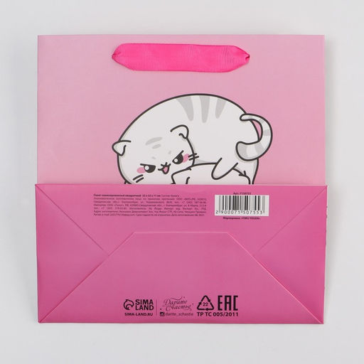 Пакет подарочный ламинированный квадратный, упаковка, «Котики», 22×22×11 см