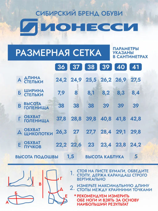 Сапожки - Ионесси фото 3