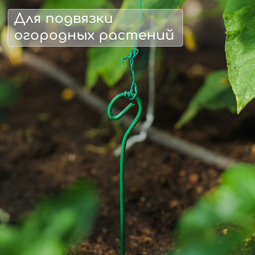 Цена за 10 шт. Колышек для подвязки растений, h=60 см, d=3 мм см, проволочный, зелёный, Greengo  фото 4