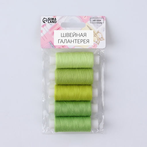 Нитки «Лаймовый пирог», 40/2, 200 м, набор 5 шт., разноцветные