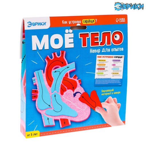 Набор для опытов Моё тело, сердце - Эврики фото 2