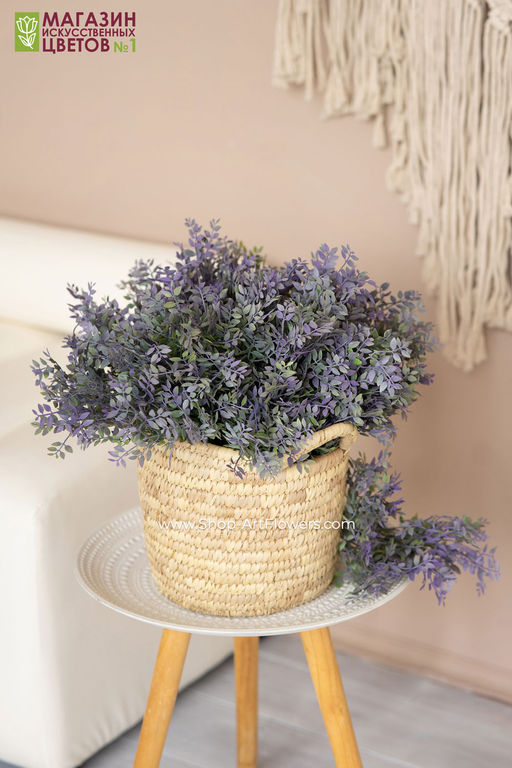 103 Листья фисташки, куст - Без тм фото 10