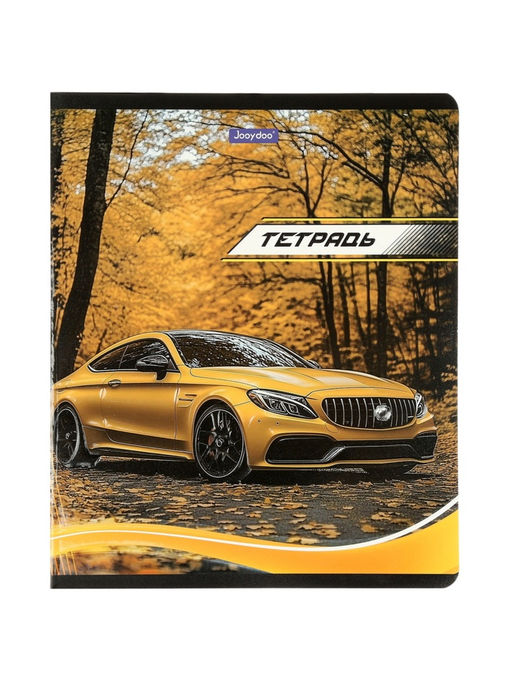 Комплект 12 тетрадей, 48 листов, клетка, 60гр, 4 вида, Машины