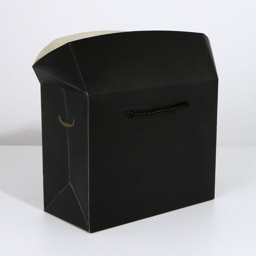 Пакет—коробка «Чёрный», 28 х 20 х 13 см