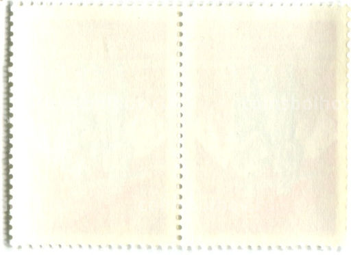 Марка 250 лет Добровольного присоединения Казахстана к России 1981 год (блок из 2 марок)