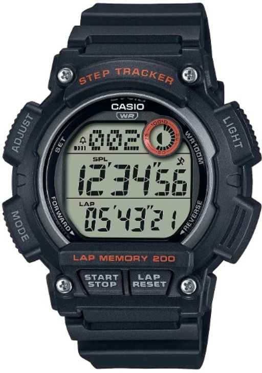 Наручные часы Casio мужские WS-2100H-1AVDF