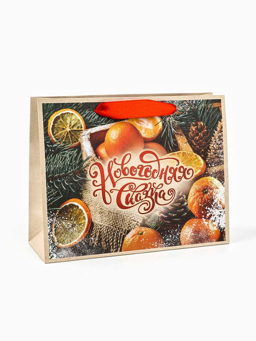 Цена за 3 шт. Пакет подарочный новогодний бумажный, «Новогодняя сказка», 24×20×11 см