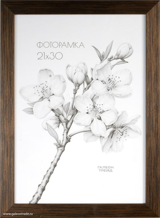 Фоторамка 21х30 / ZR208A-176 /уп10 - Галеонтрейд фото 2