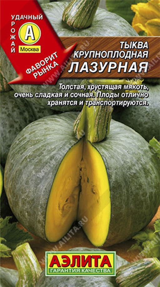Тыква крупноплодная Лазурная