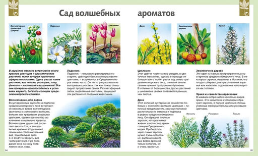 Универсальная школьная энциклопедия (нов.оф.). Перруден Ф., Камбурнак Л., Симон Ф.,... - Махаон фото 3