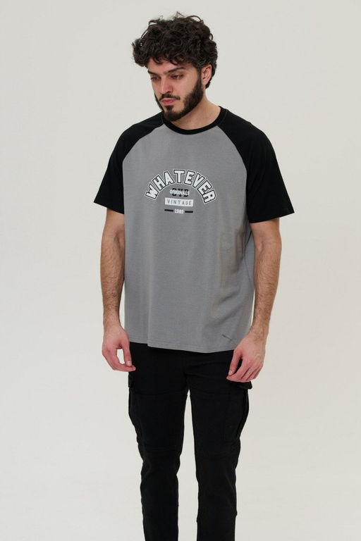 футболка мужская 2878-23 Новинка - Mix-mode фото 2