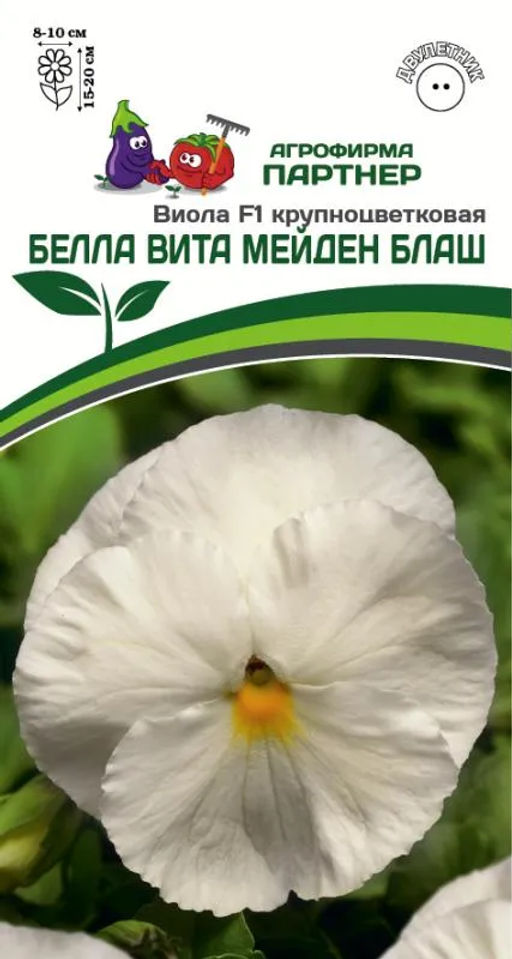 Виола виттрока крупноцветковая Белла Вита Мейден Блаш