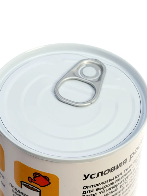 ЭВРИКИ Набор для опытов "Мой мини-сад", подсолнух