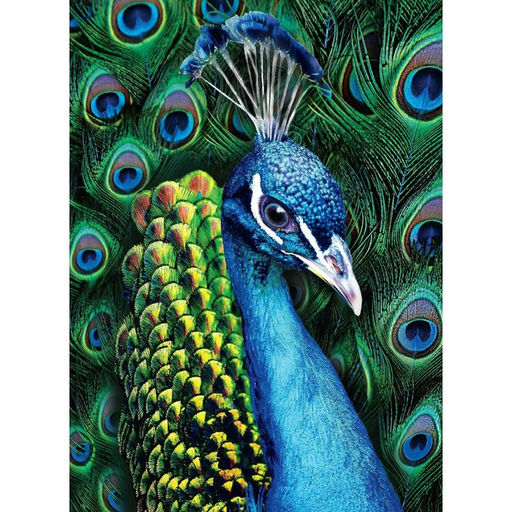 Алмазная мозаика с полным заполнением на холсте «Павлин», 15×21 см