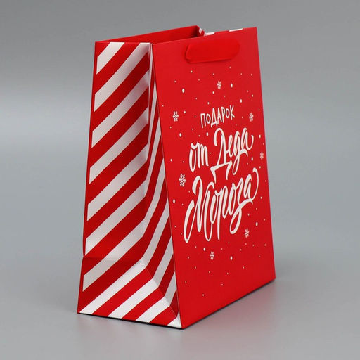 Набор новогодних пакетов «Новогодний подарок»