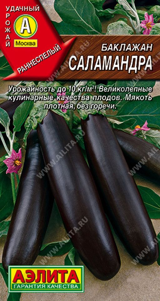 Баклажан Саламандра (2025)