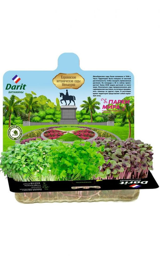 DARIT (ДАРИТ) НАБОР СЕЛЬДЕРЕЙ, БАЗИЛИК, КОРИАНДР Для тех, кто хочет улучшить пищеварение!