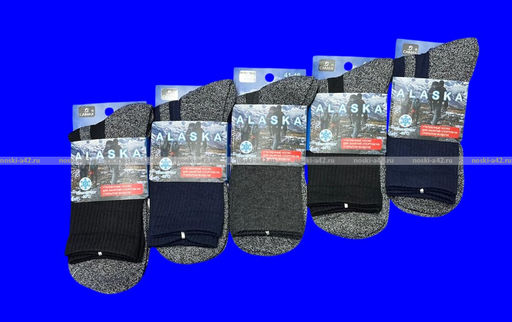 Цена за 10 пар. "АЛЯСКА" Термоноски спортивные мужские махровый след арт. 7082