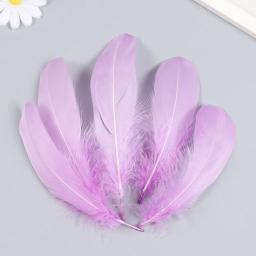 Набор декоративных перьев 160-190 мм (5 шт), сиреневый